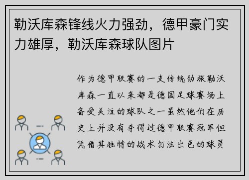 勒沃库森锋线火力强劲，德甲豪门实力雄厚，勒沃库森球队图片
