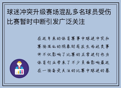 球迷冲突升级赛场混乱多名球员受伤比赛暂时中断引发广泛关注