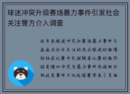 球迷冲突升级赛场暴力事件引发社会关注警方介入调查